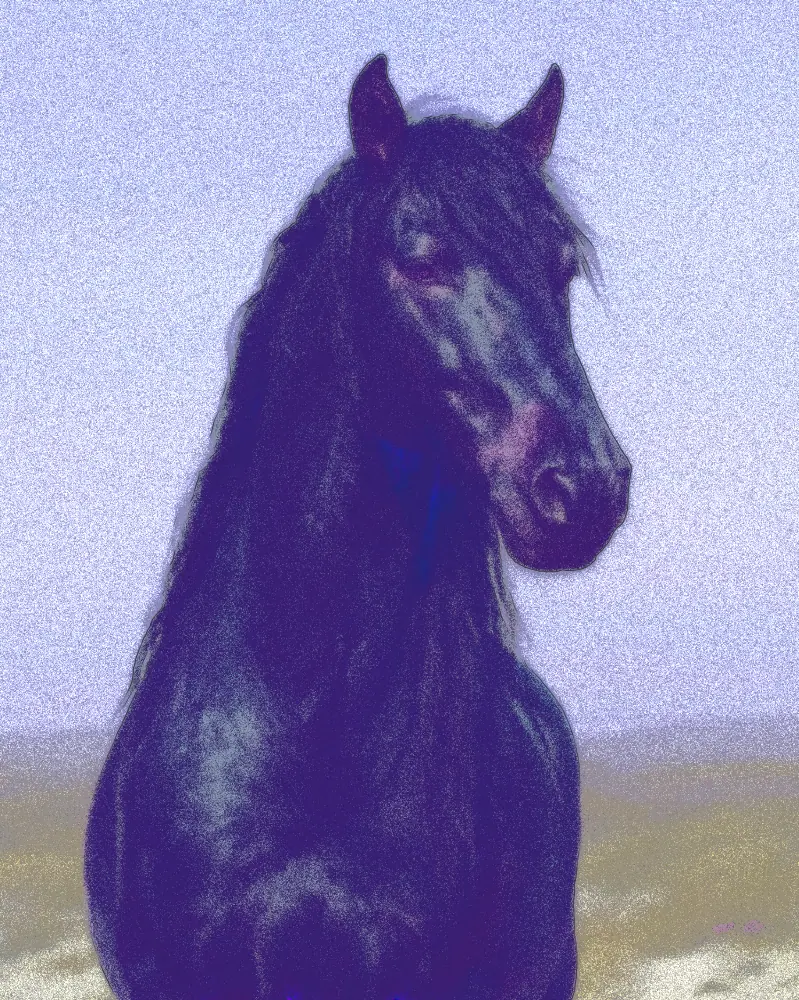 Airbrush Effect on a photo of a black horse