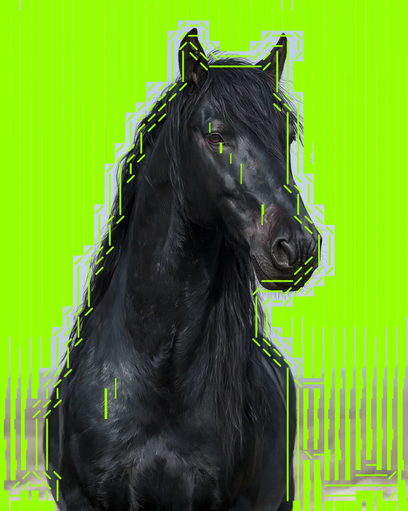 ASCII Art Effect on a photo of a black horse
