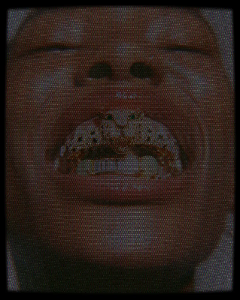 CCTV Effect on a photo of a smile with gold grills