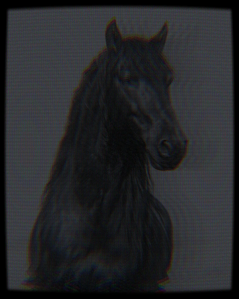 CCTV Effect on a photo of a black horse