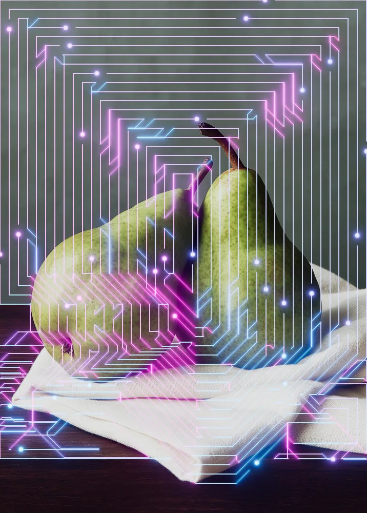 Circuit Board Effect on a photo of two pears on linen