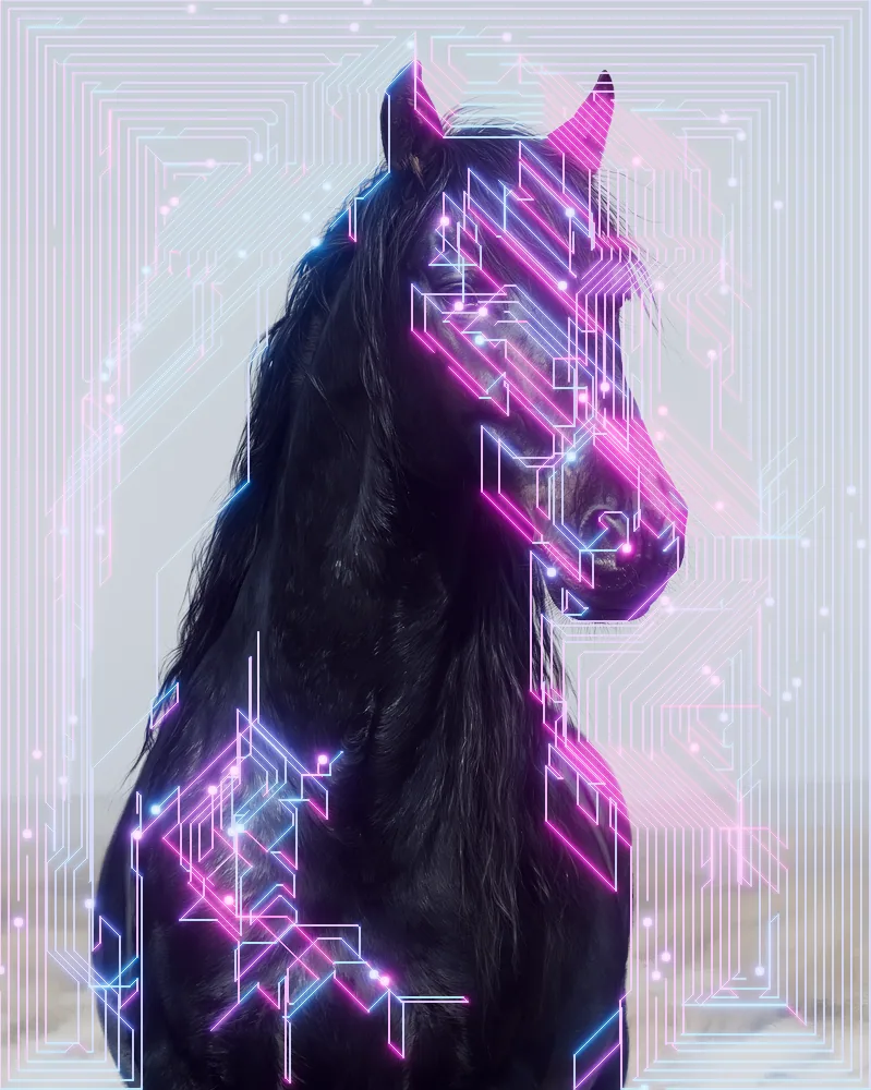 Circuit Board Effect on a photo of a black horse