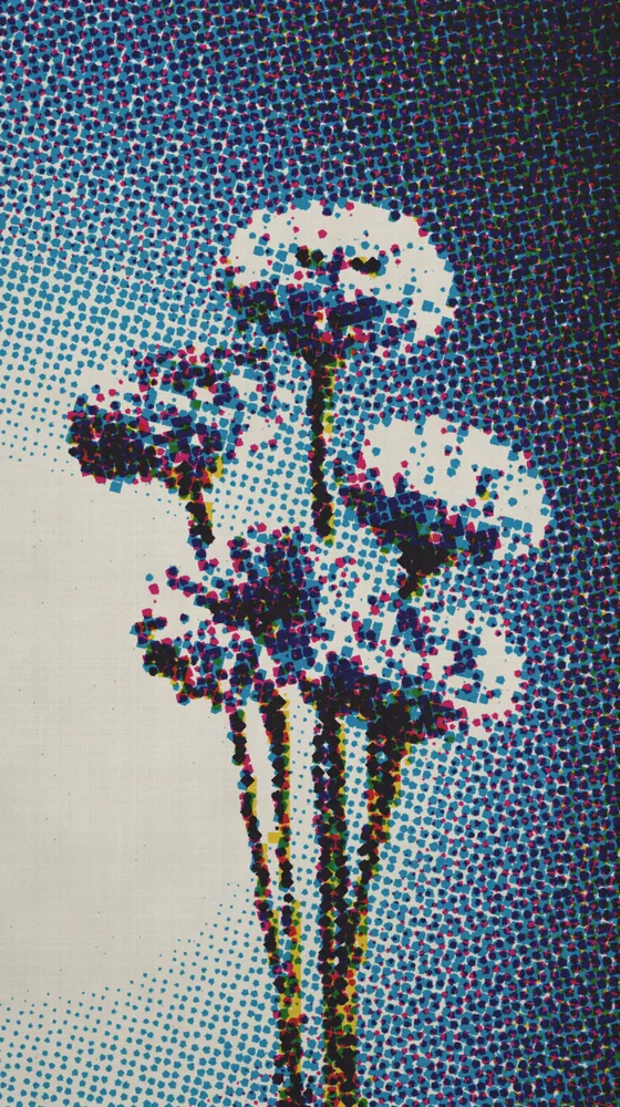CMYK Effect on a photo of blue cornflowers