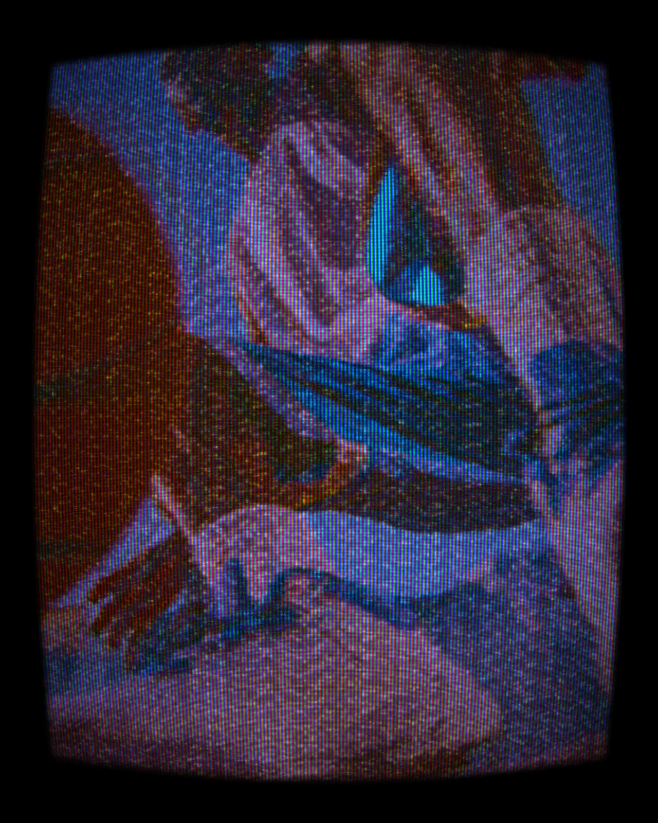 The same photo on a curved CRT screen with dark rounded corners, fine scanlines, purple and blue color shifts, orange fringing and speckled noise.