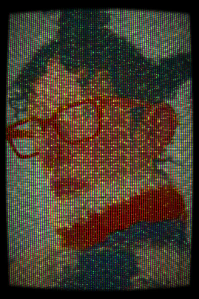 CRT Effect on a photo of a woman in orange glasses and a knit collar