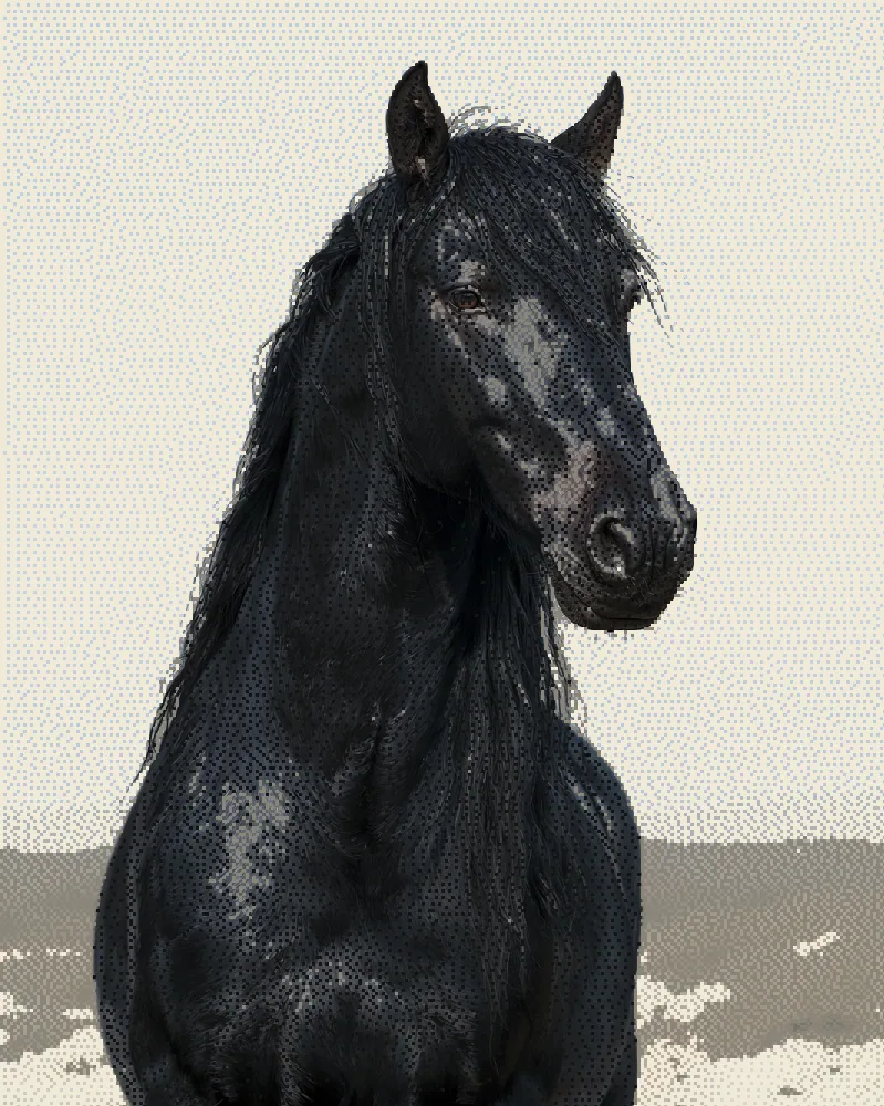 Dither Effect on a photo of a black horse