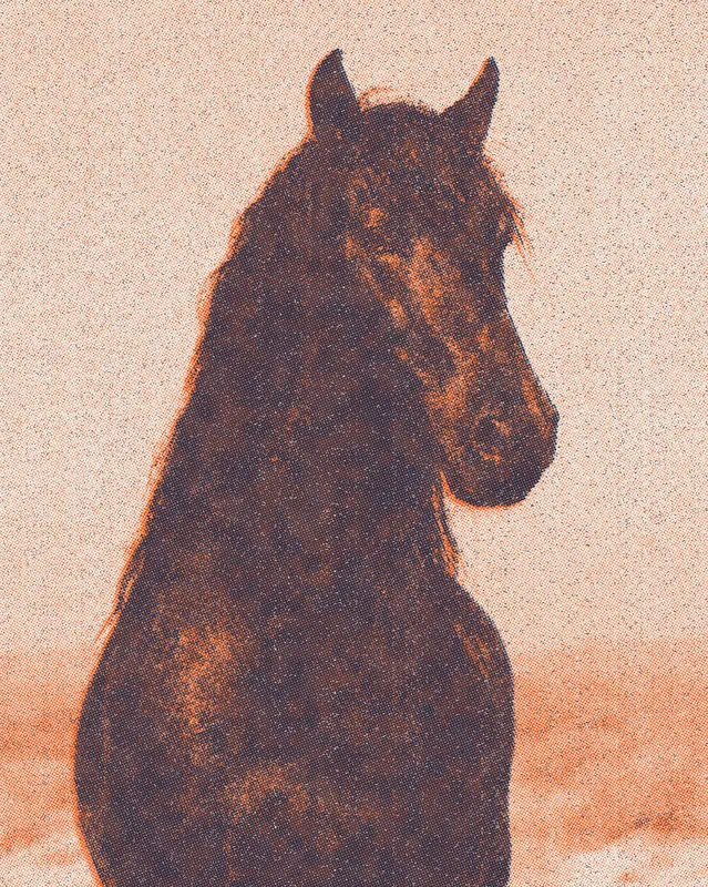 Halftone Effect on a photo of a black horse