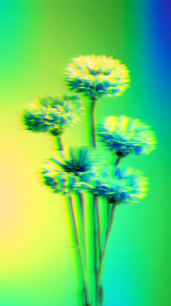 Holographic Effect on a photo of blue cornflowers