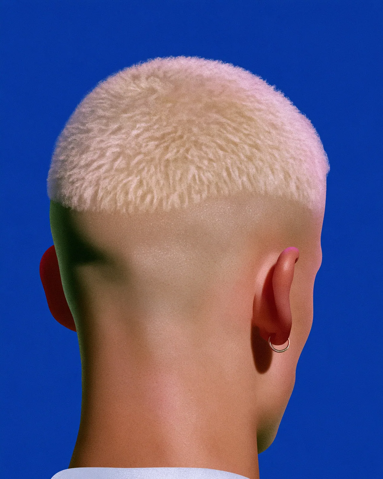 Back of a person's head with short bleached blonde hair, a shaved neck and a small hoop earring, against a flat cobalt blue background.