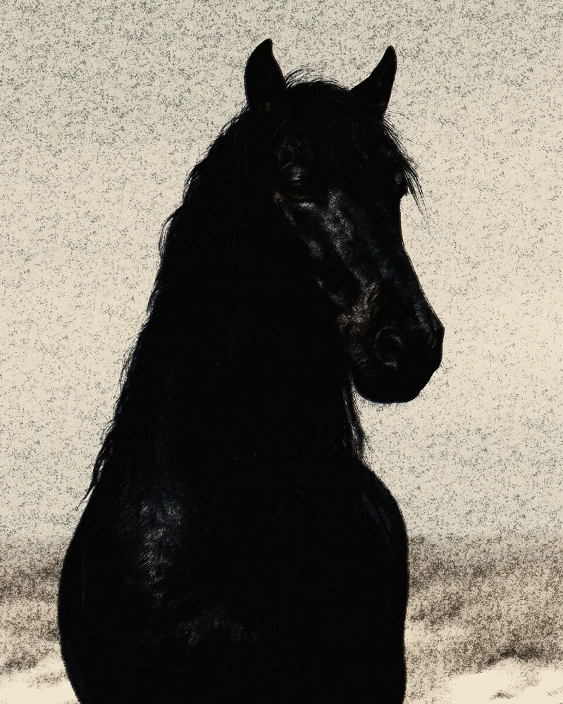 Newspaper Effect on a photo of a black horse