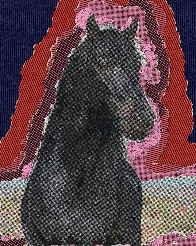 Pop Art Effect on a photo of a black horse