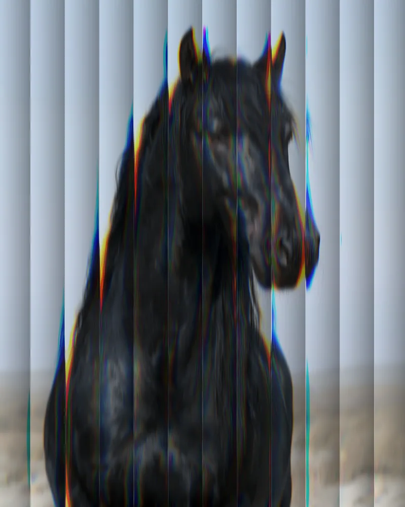 Reeded Glass Effect on a photo of a black horse