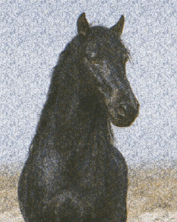 Risograph Effect on a photo of a black horse