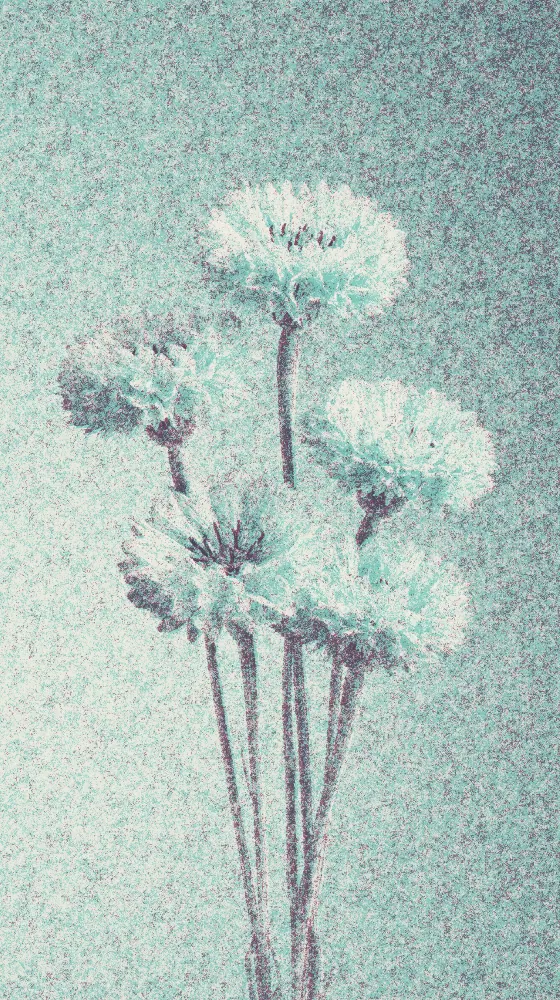 Risograph Effect on a photo of blue cornflowers