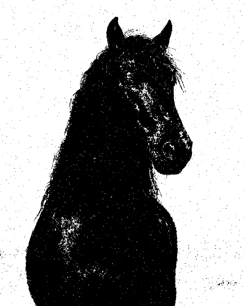 Stencil Effect on a photo of a black horse