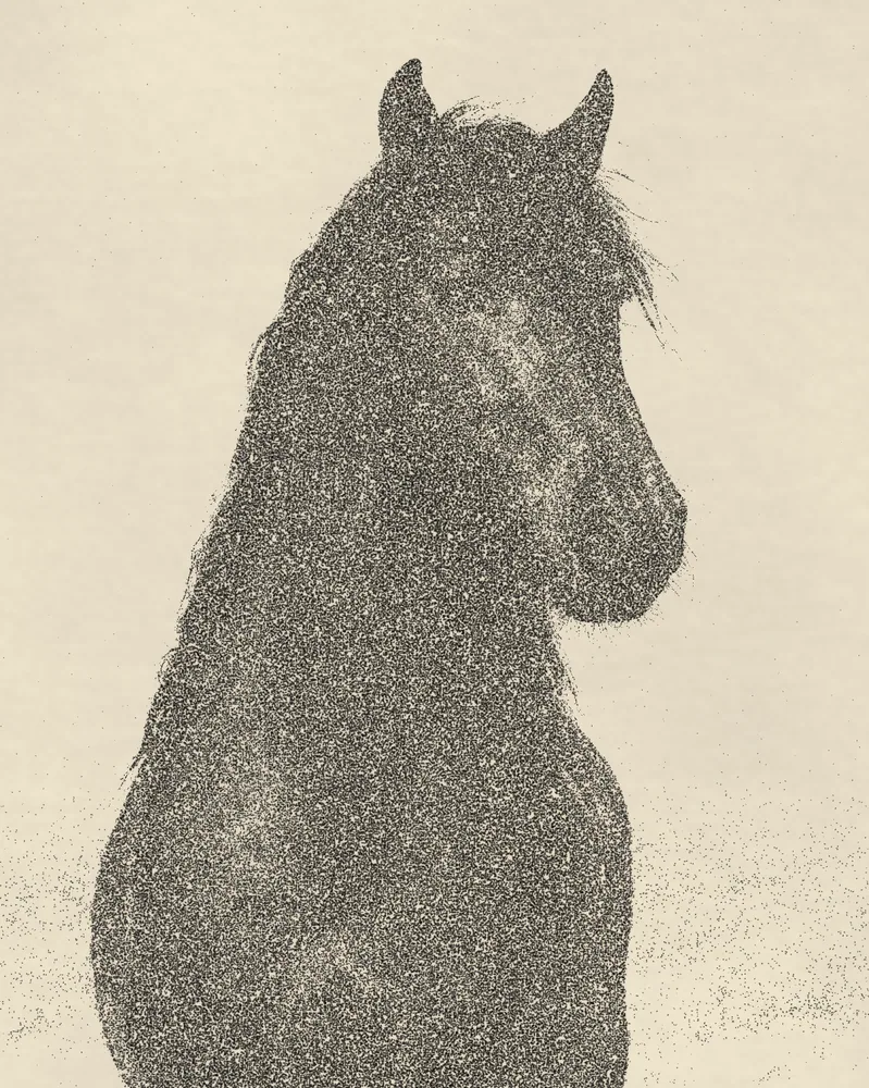 Stipple Effect on a photo of a black horse
