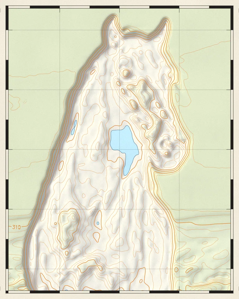 Topographic Map Effect on a photo of a black horse