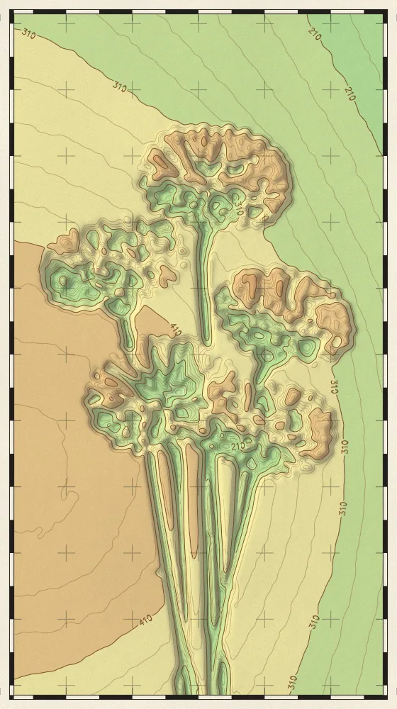 Topographic Map Effect on a photo of blue cornflowers