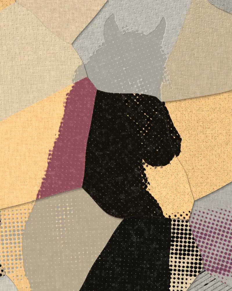 Torn Paper Collage Effect on a photo of a black horse