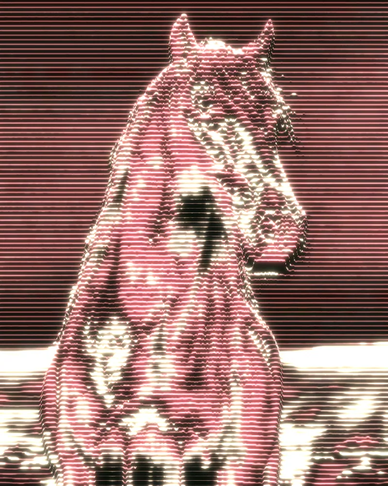 Wave Lines Effect on a photo of a black horse