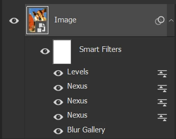 The Photoshop Layers panel: Levels, three Nexus filters and Blur Gallery as Smart Filters on one image